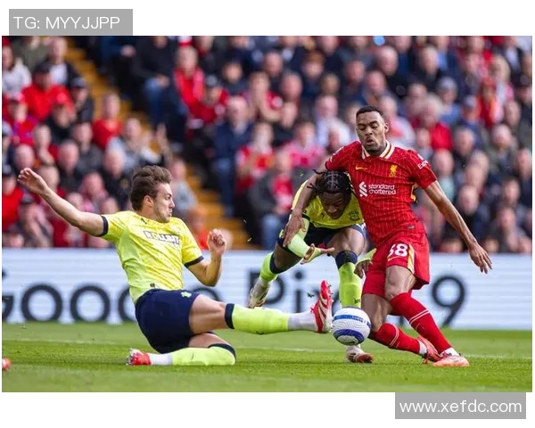 英超激战利物浦与AC米兰握手言和红牌事件引发全场热议