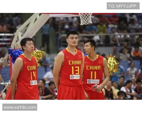 小姚明训练：从少年篮球梦到职业生涯的成长之路