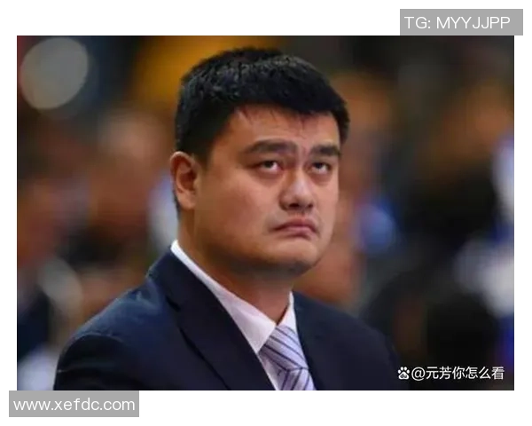 火箭队传奇三巨头马丁姚明的辉煌岁月与篮球梦想