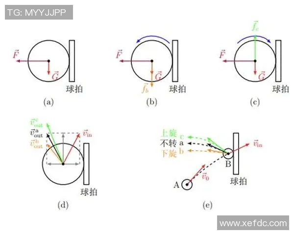 科学乒乓球训练：提升灵活性的创新方法与实践技巧分享